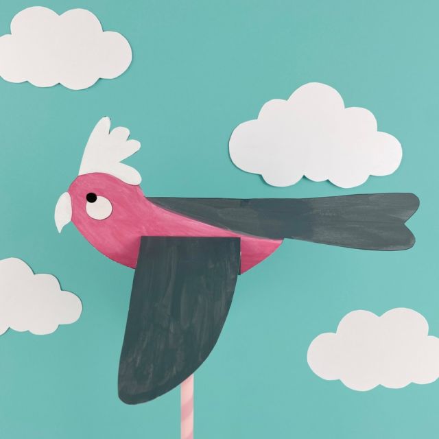 Australia's bright and beautiful bird life have inspired my new craft, flying Australian birds.  All the instructions and templates are available on my blog. 

#lottamagazine #kidscrafts #kidscrafts101 #australiananimalcrafts #birdcrafts #birdcraft #puppetsforkids #animalcrafts #australiadaycraft #galah #cockatoo